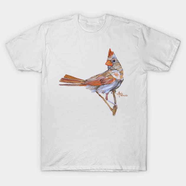 Female Cardinal T-Shirt by ampomata